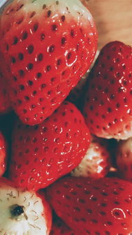 甜甜的草莓甜甜的你 