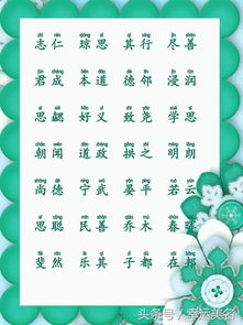 2017姓宋的宝宝起名字,内娱遗珠出道十七年