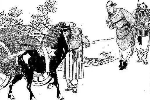 中国马文化 相马