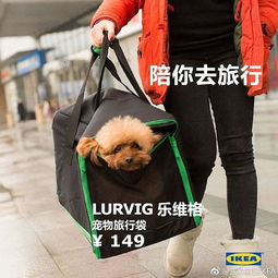 宜家宠物用品在中国开卖,外观设计有点平庸