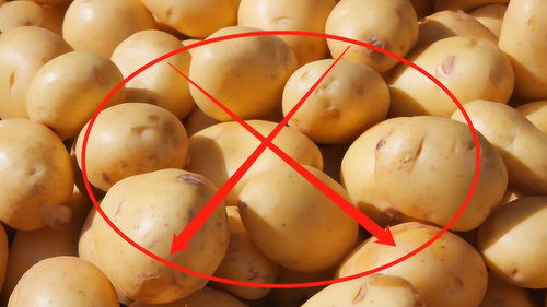 医生建议 土豆尽量少吃,最好不吃,知道为什么吗 现在知道还不晚 