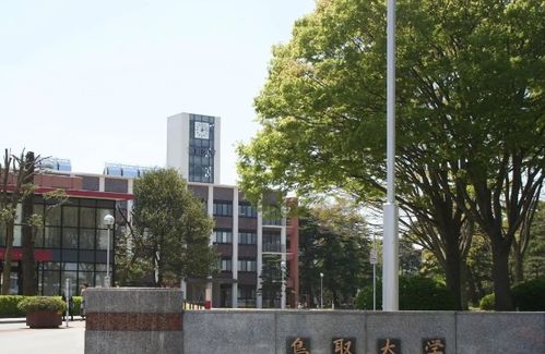 新疆十所大学排名,新疆十所大学全新排名