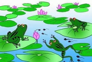 关于池塘青蛙的诗句