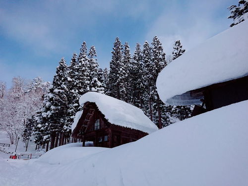 日本高山飞驒 雪国和 你的名字 