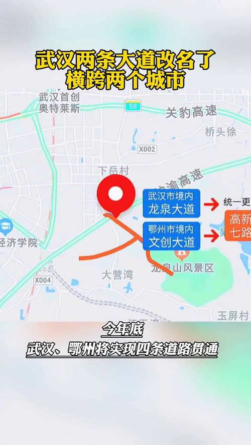 武汉市,两条大道改名了,横跨两个城市 