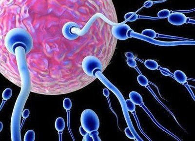 试管周期男性不育如何检查精子好不好？