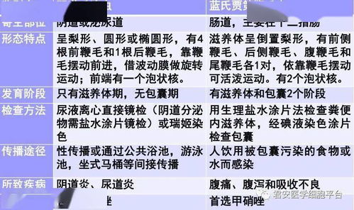 再障患者反复尿路感染的 元凶 是什么