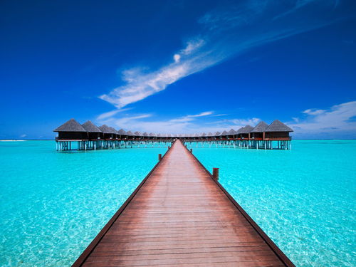 马尔代夫旅游结婚攻略一天玩转海岛梦幻婚礼（马尔代夫度假岛屿）