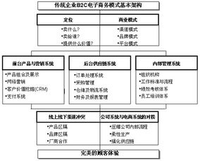 能给我列举几家大型企业开展了B2C电子商务模式的吗？