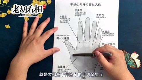 老胡看相的个人频道 