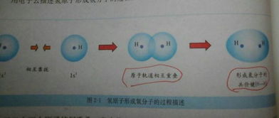 为什么1mol的水中有2mol的氢原子