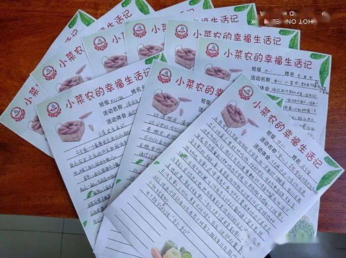 建设北小学爱心小菜农 幸福收获季