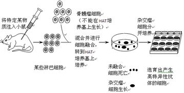 ftm培养基制备,选择基本成分