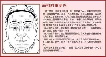 看八字夫妻宫 日柱 婚姻断语55条 