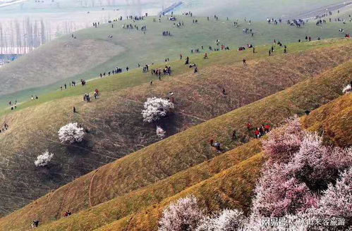 伊犁杏花沟旅游攻略 新疆伊犁杏花沟几月去比较美