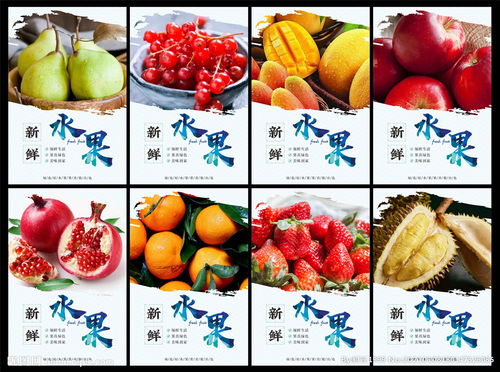 500种水果图片 世界上有10000种水果