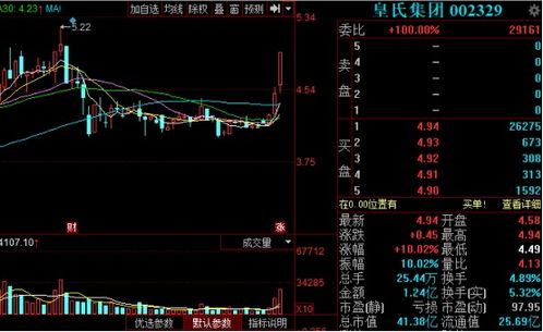 向A股战略投资者配售A股股票是什么意思