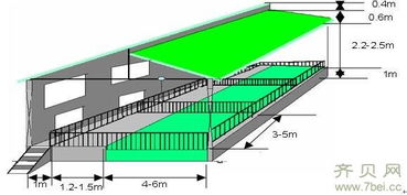 育肥猪舍设计要点浅探