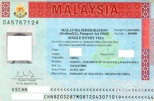马来西亚旅游签证怎么申请,马来西亚旅游签证申请指