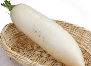 白萝卜最佳种植时间和方法,黄淮地区白萝卜种植时间