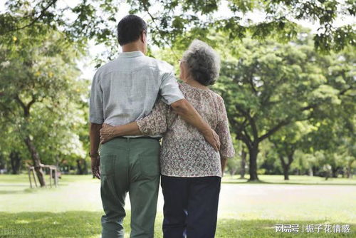 老年夫妻怎么生活(老年夫妻怎么样相处)