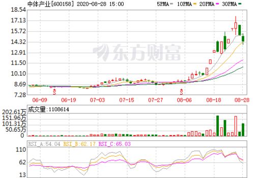 600158中体产业前景如何