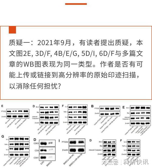 大一心理论文查重吗