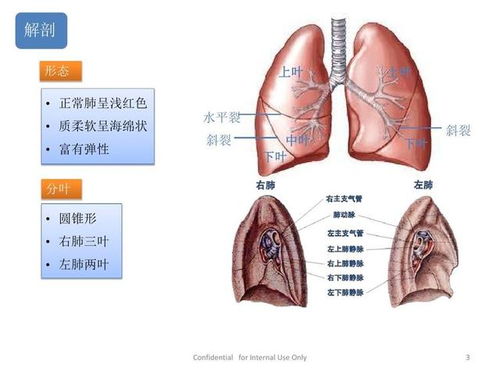 临渭区中医医院外科成功完成首例胸腔镜下楔形肺叶切除术 胸腔闭式引流术