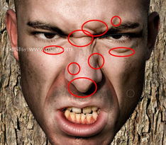 Photoshop人脸与树皮的合成特效效果 