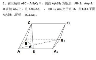 视频 从线面垂直证明线线垂直问题 