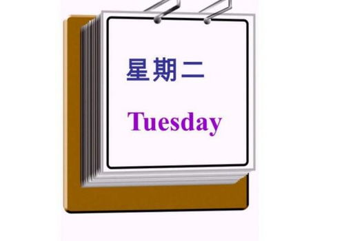 SUN MON TUE WED THU 是什么意思 