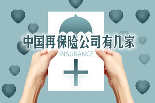 再保险是什么意思 中国再保险公司有几家 哪家会比较好