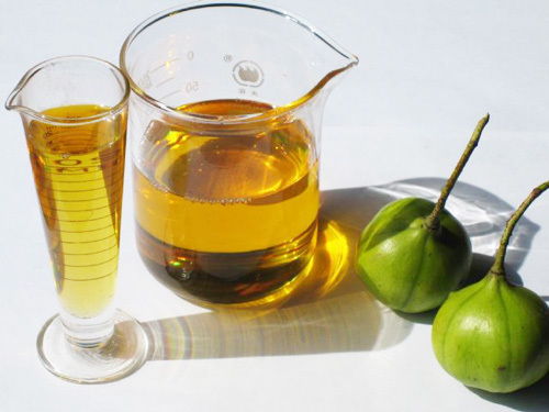 桐油是什么树产的,桐油：从树中提取的天然防水剂与防护剂