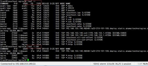 linux端口占用