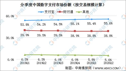 2021年中国数字支付行业市场前景及投资研究报告