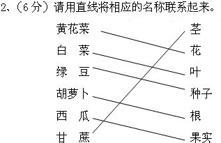 请用直线将相应的名称联系起来.