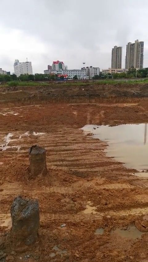 沙雕狗子跑迷路,陷入大泥坑里出不来,主人都忍不住笑了 