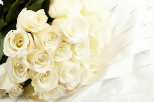 19支白玫瑰花语，传递无尽的爱与真诚