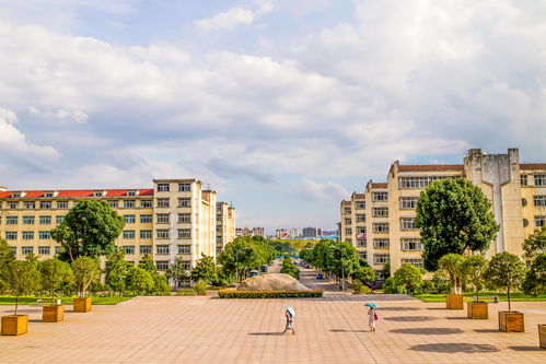 大学第二学位是成人自考吗,教育部正在研究第二学位扩招，自考二学位是不是属于第二学位？(图2)