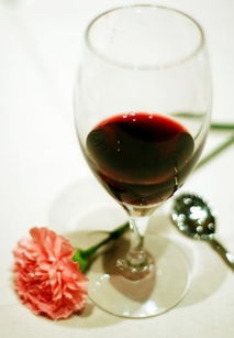 葡萄酒醒2012 央视播出 全民葡萄酒文化亟待普及 