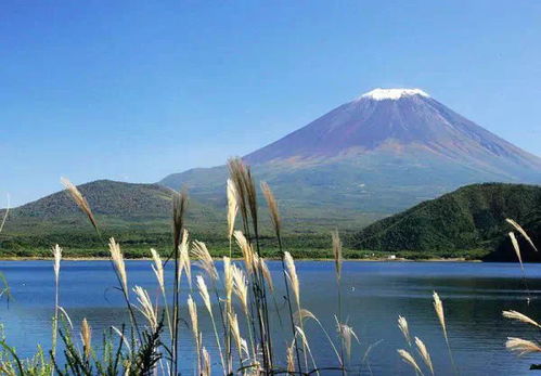 史上最贴心的日本富士山自由行攻略,不去一次都不好意思了 