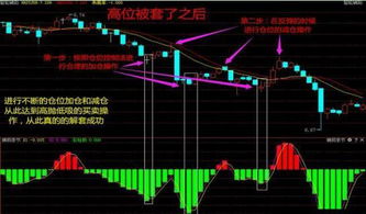 仓位决定了股民能生存多久,你认可这种说法吗