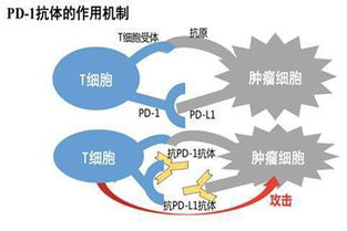 达伯舒价格 达伯舒哪里买 卖