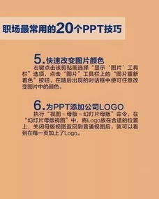 今日分享 20个职场常用的PPT技巧,干货