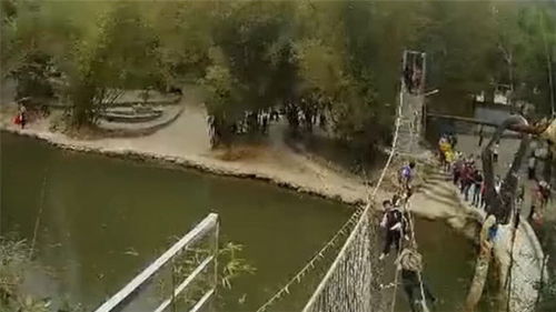 惊险 因暴力晃桥 景区钢索桥突然断裂 6名游客瞬间下坠悬空 