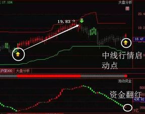 股市的资金用来干嘛？