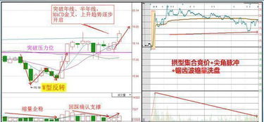 突破性技术：废气系数降低至1.76——环保新篇章的开启