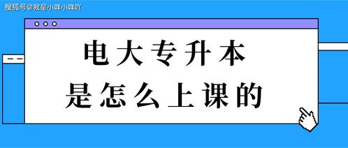 毕业后我要专升本论文