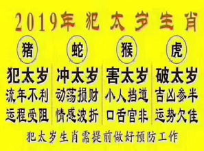 2018年犯太岁的明星名人 趋吉避凶乃智者行为