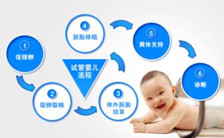 香港仁爱医院试管婴儿服务：实现生育梦想的明智选择  第2张